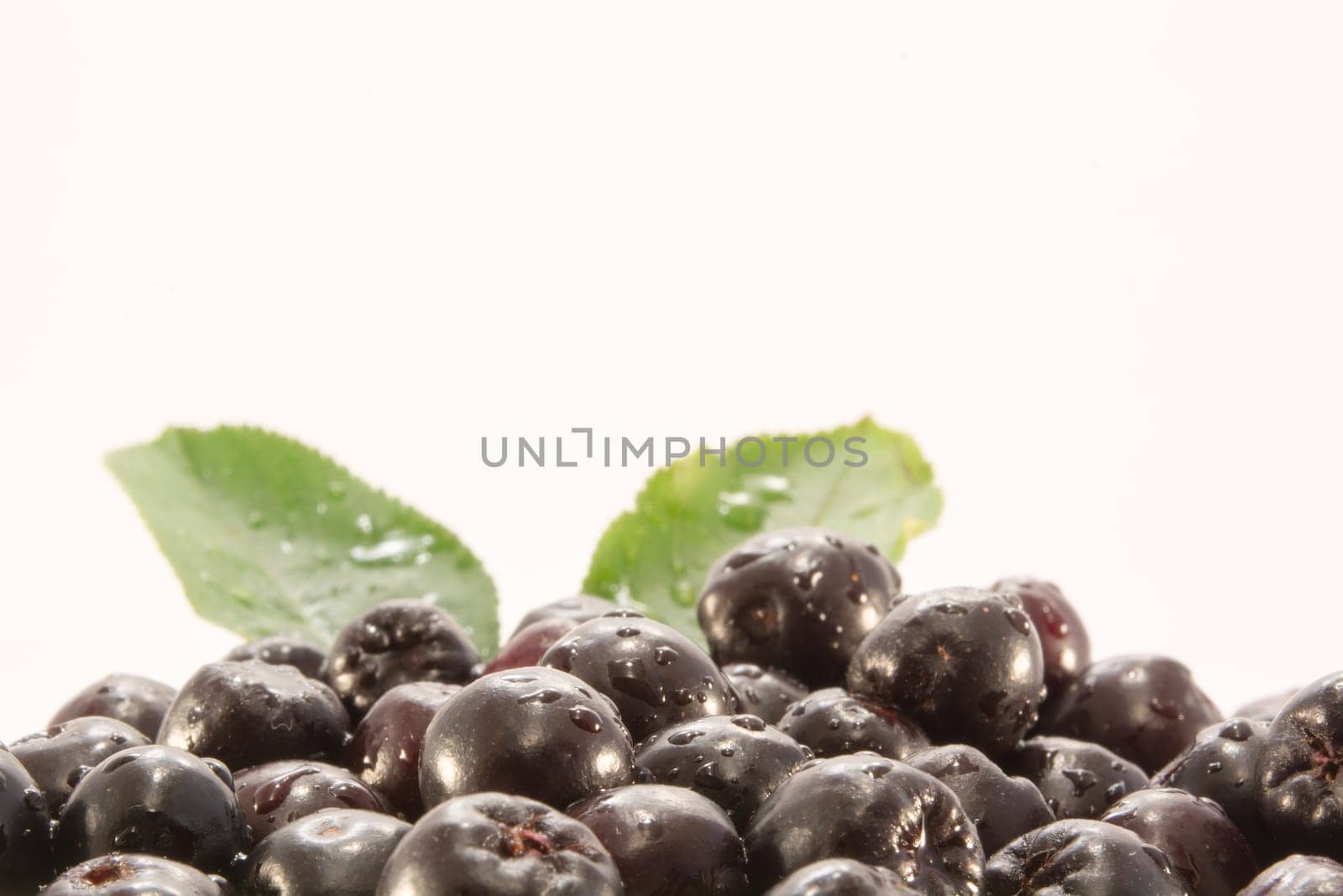 Fresh and tasty aronia in a bowl. Water droplets on fruit are visible