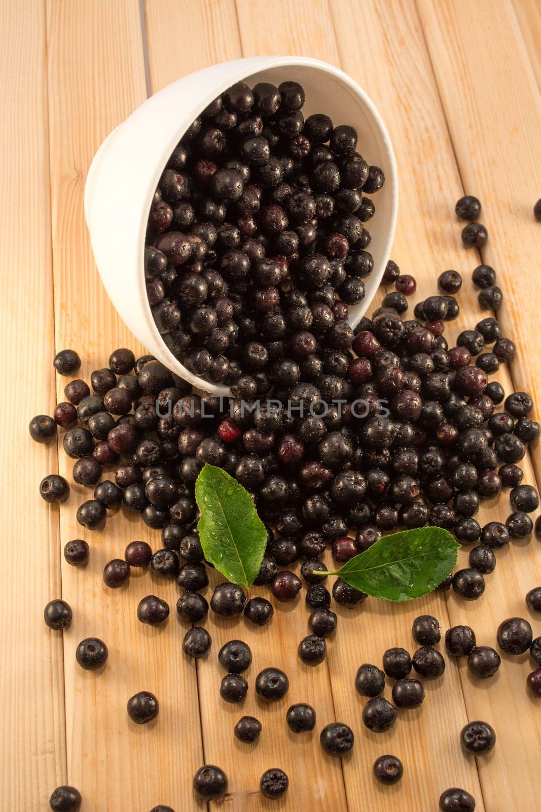 Fresh and tasty aronia spilled out of a bowl. Water droplets on fruit are visible
