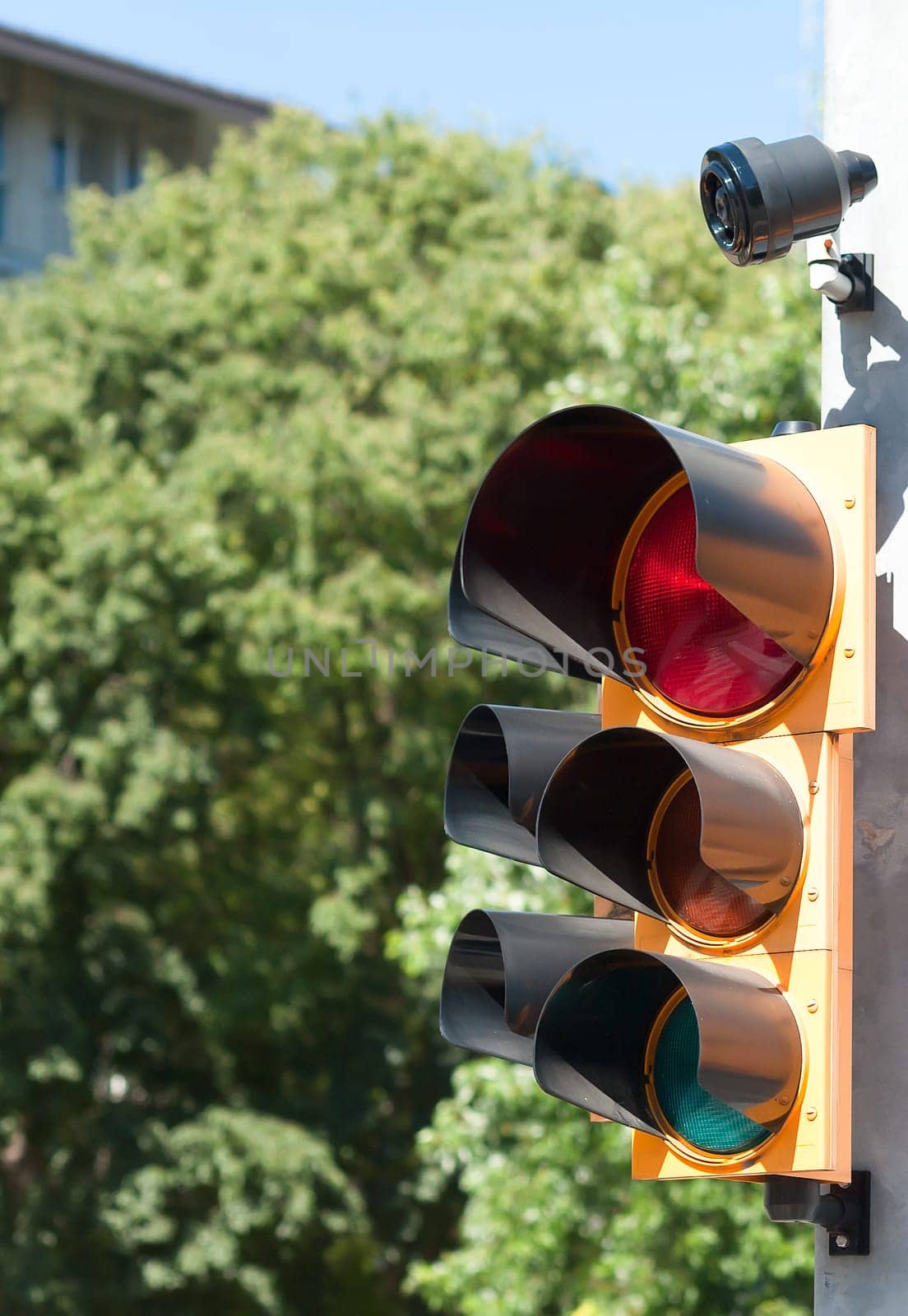 Traffic light with buzzer for walkway of the blind