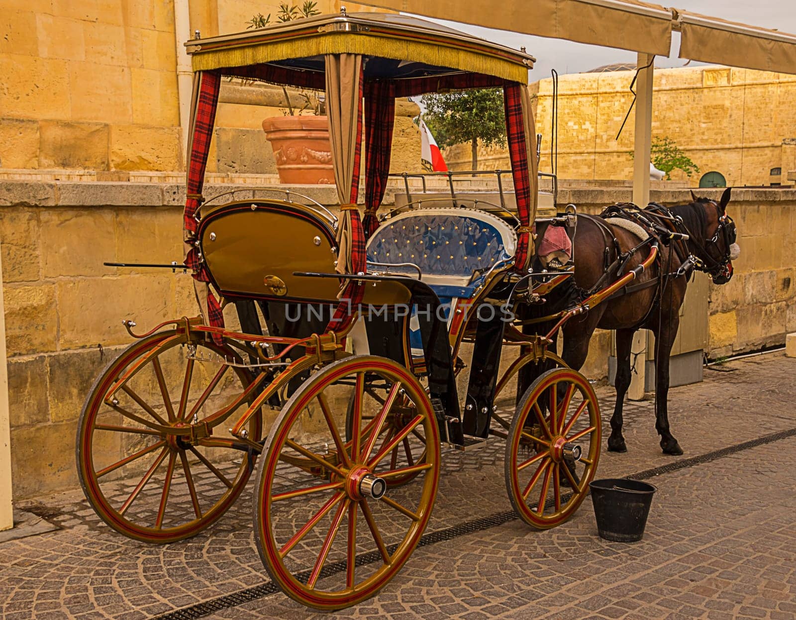 Maltese Carriage