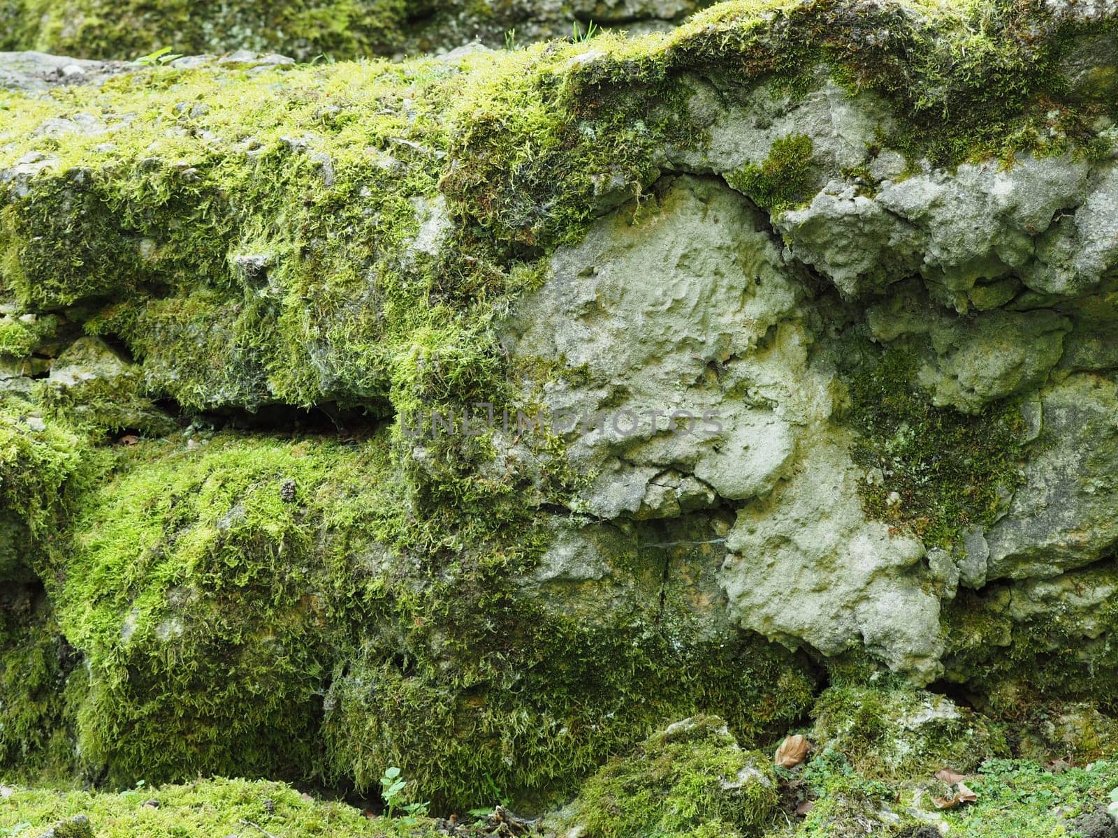 Natural texture of rocks with moss using a background
