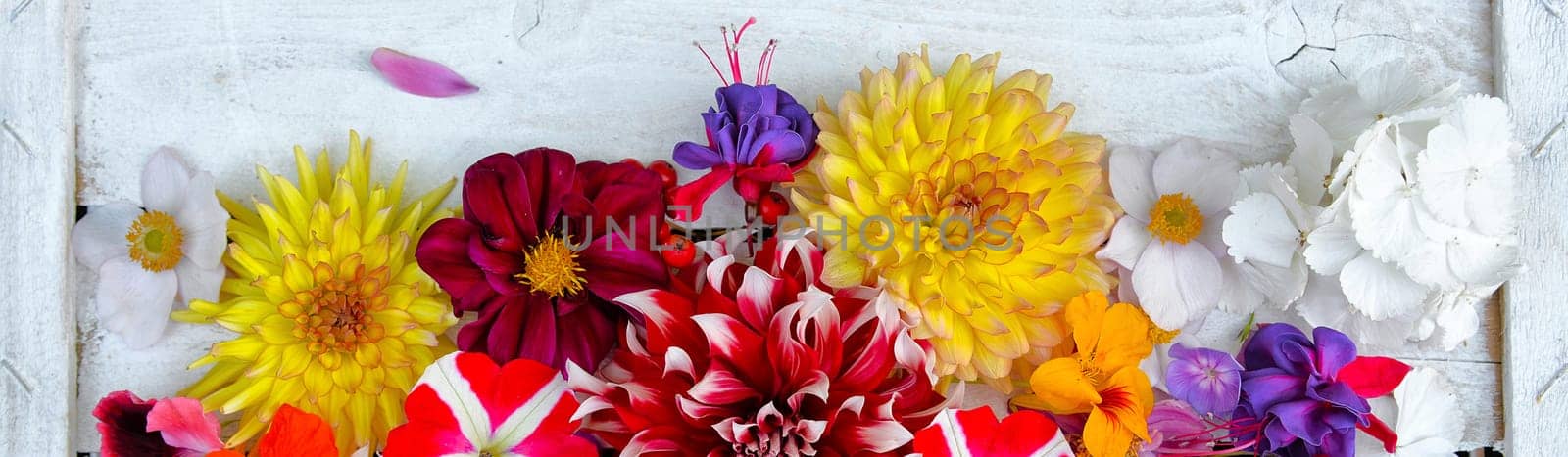 Banner colorful floral background on white wood