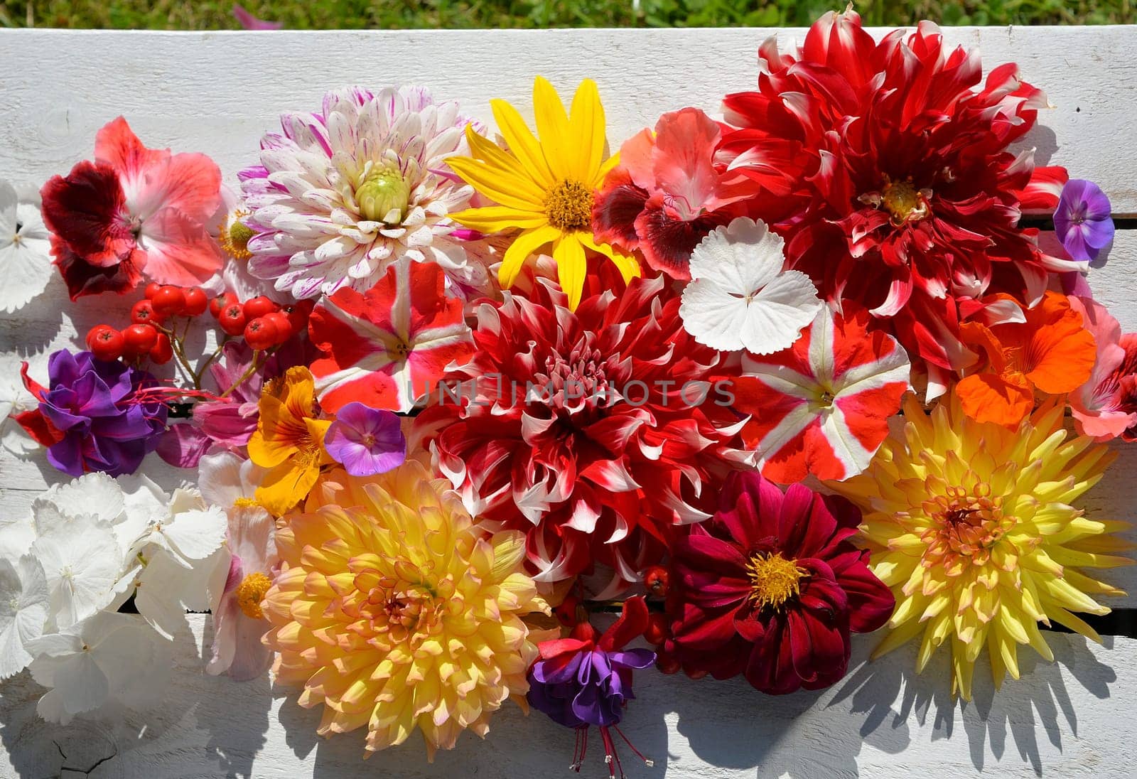 colorful floral background on white wood