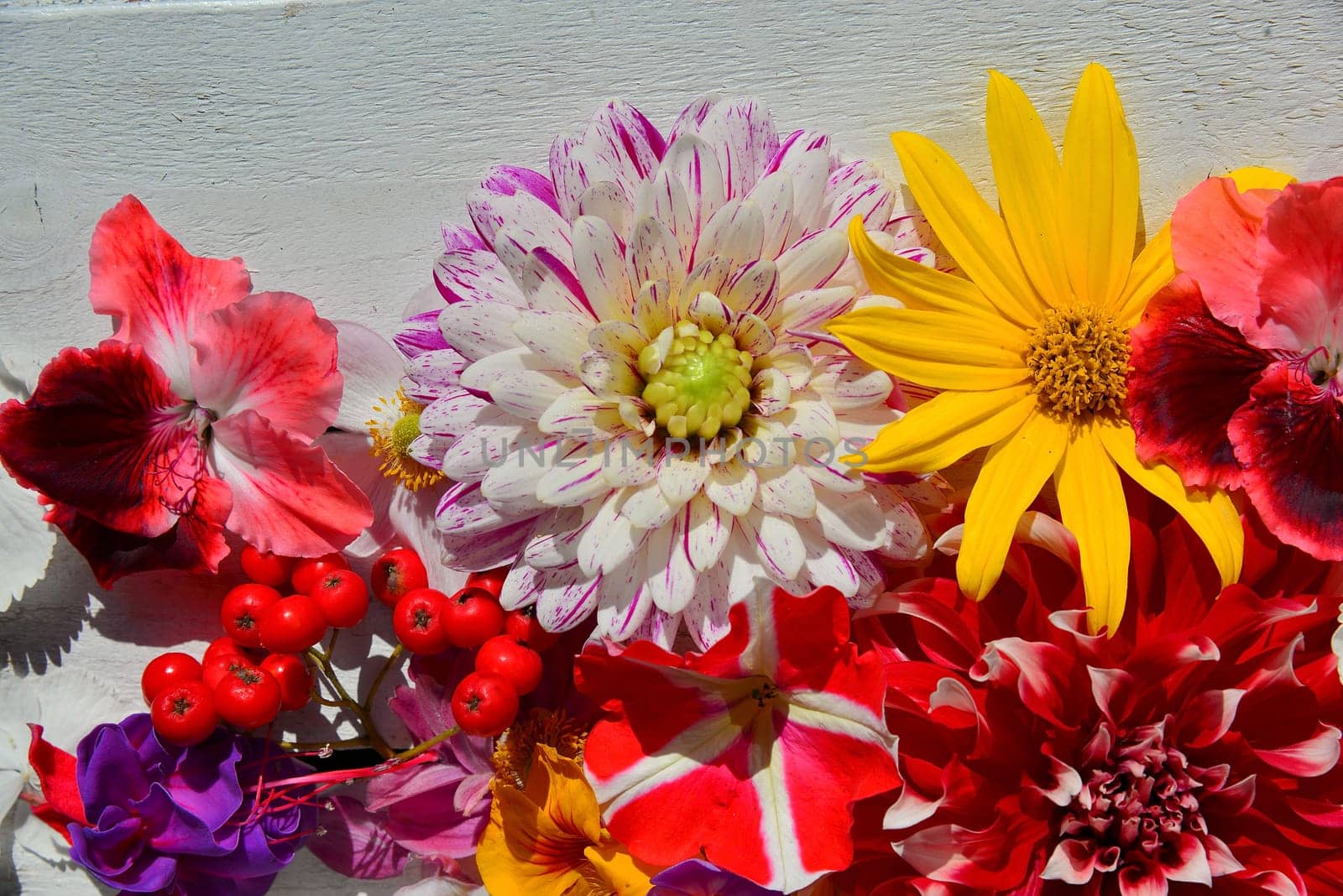 colorful floral background on white wood