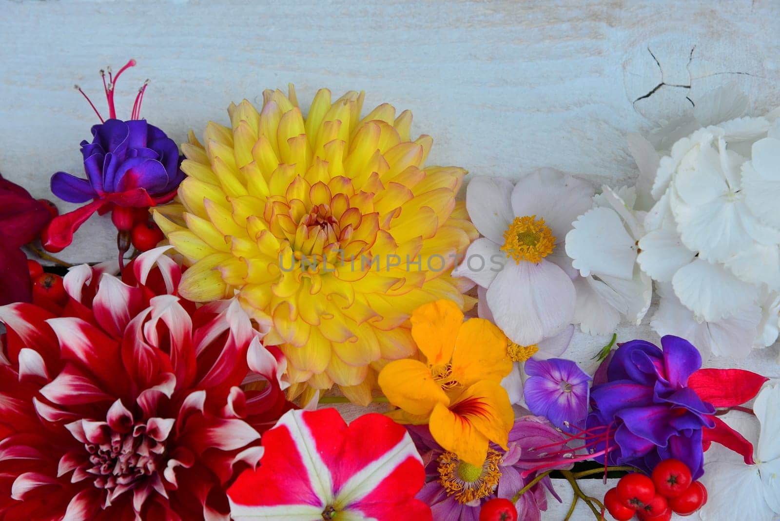 colorful floral background on white wood