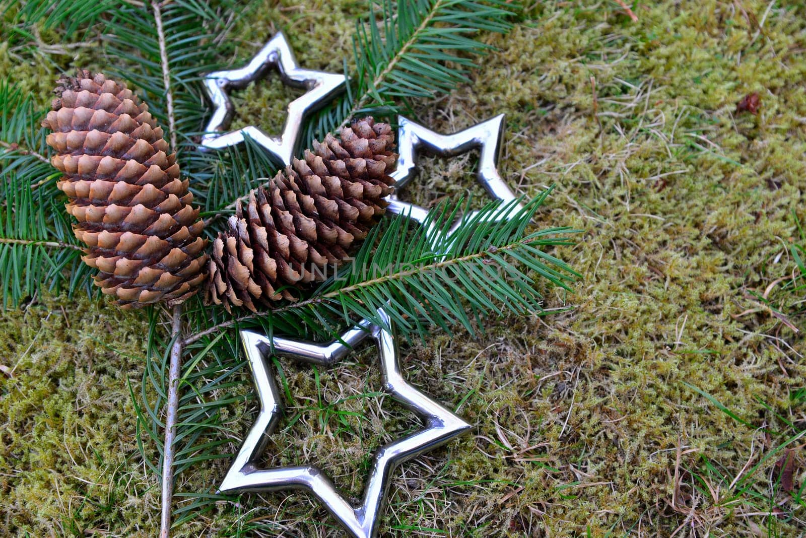 Christmas stars natural decoration on white wood background