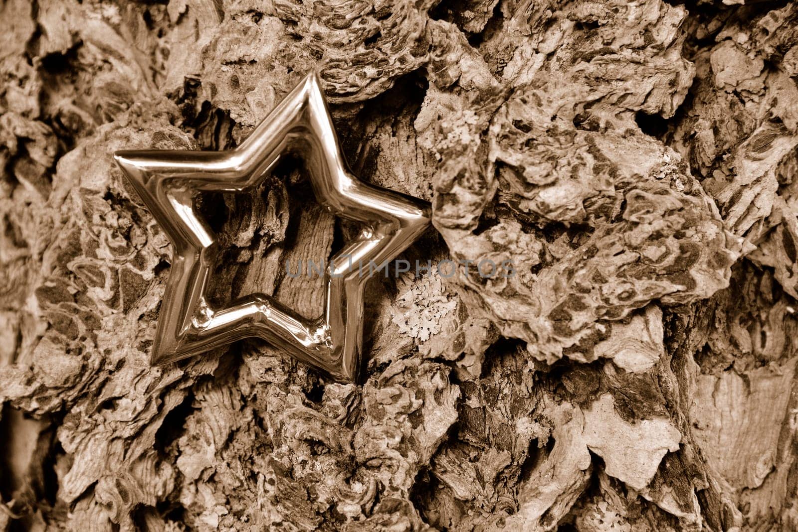 Christmas stars natural decoration on white wood background