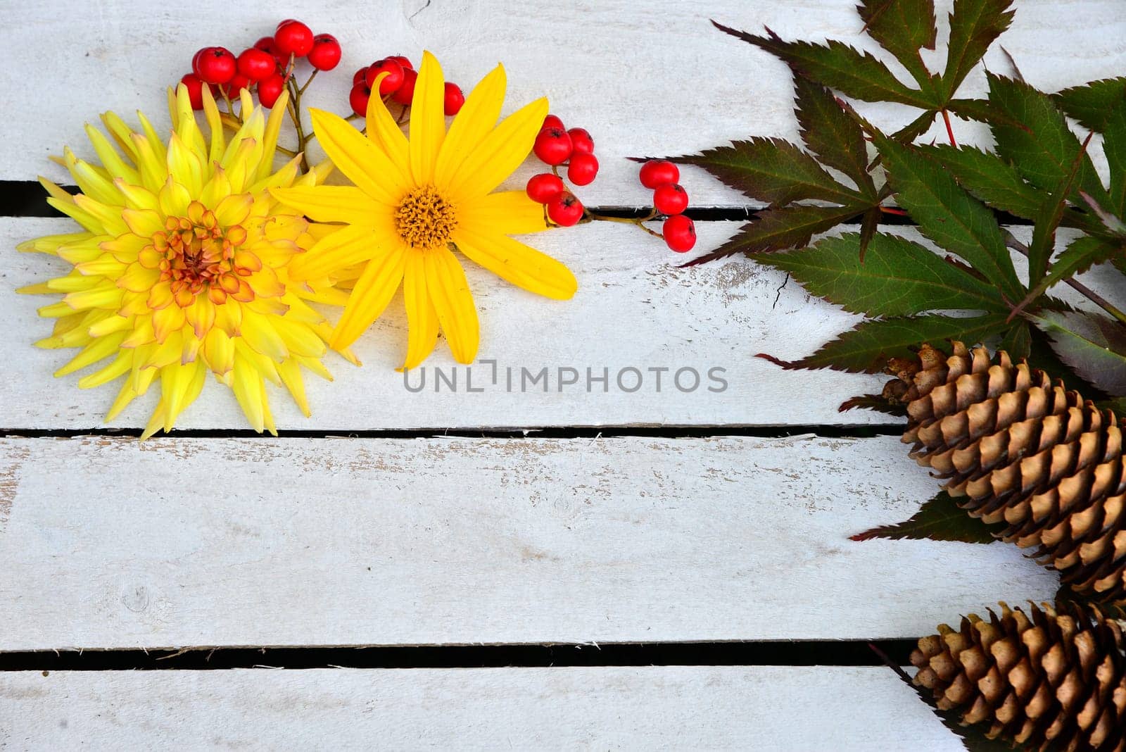 Autumn Decoration Garden Leaves and Flowers