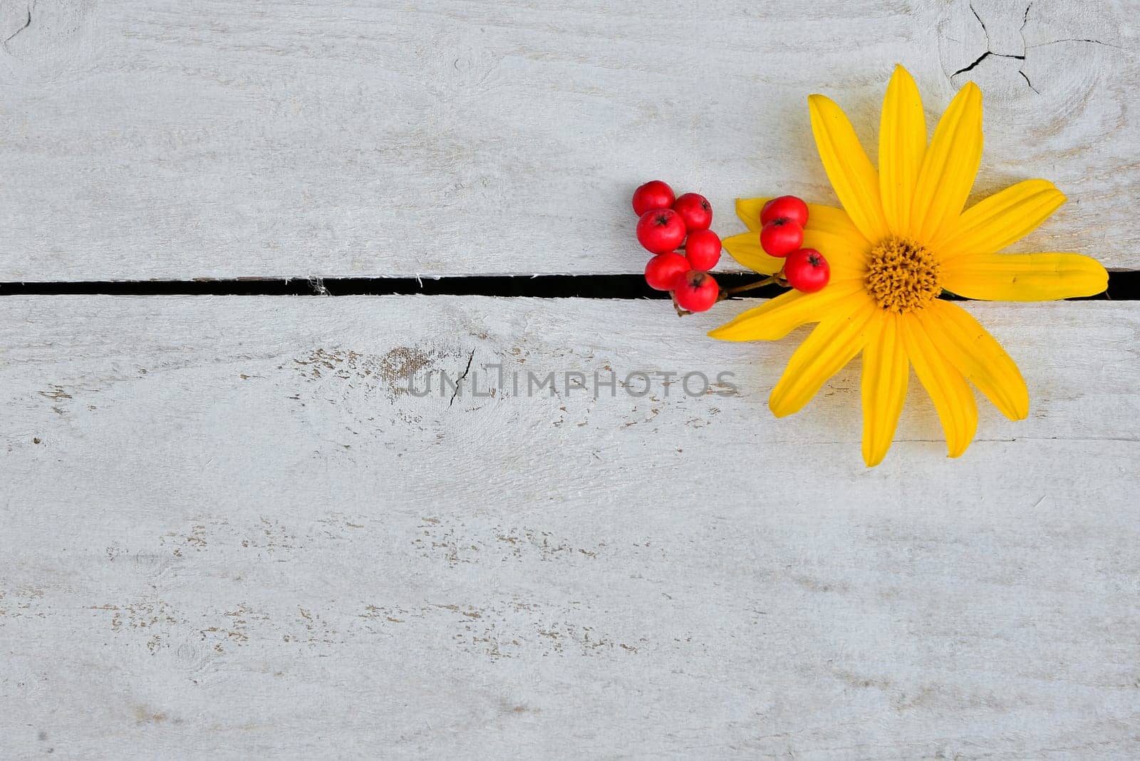 colorful floral background on white wood