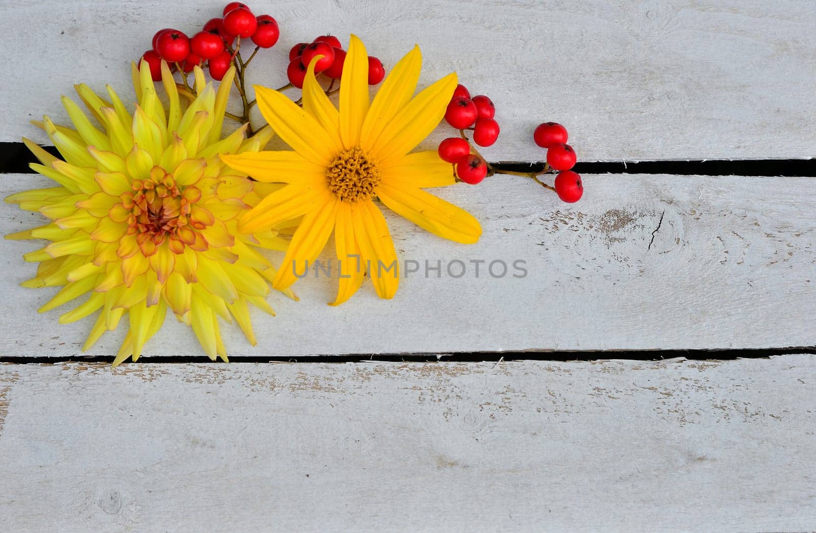 colorful floral background on white wood