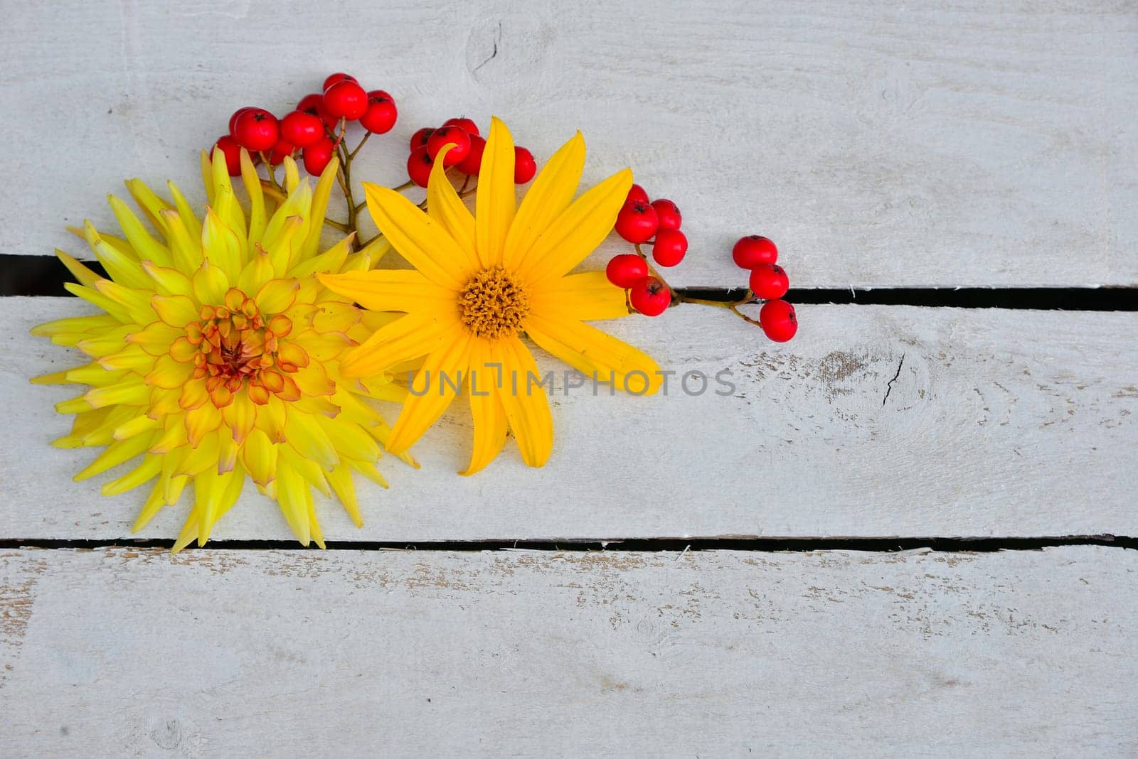 colorful floral background on white wood