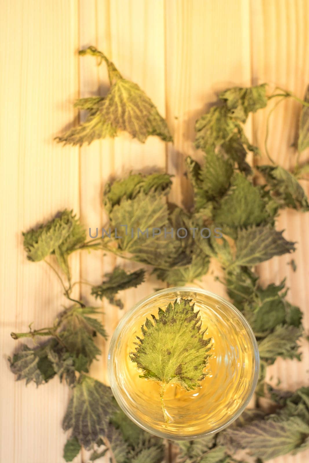 Glass of nettle tea. Table is covered with dry leaves. In tea is visible dry nettle leaf