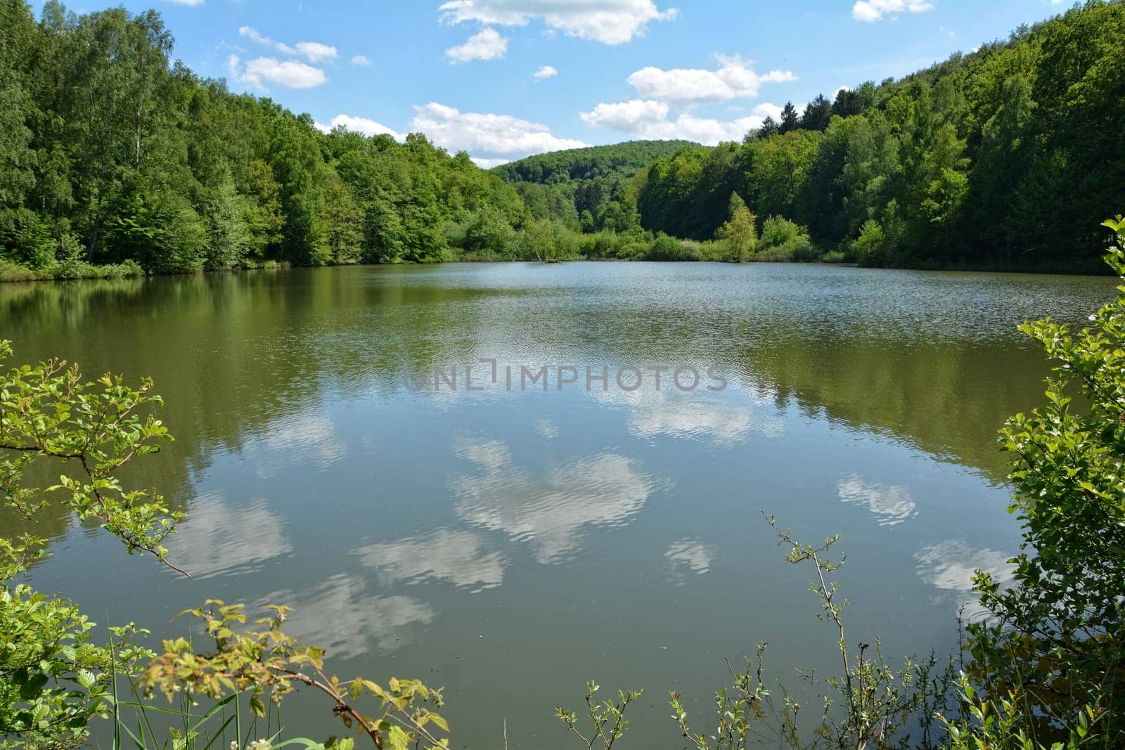 Small lake with reflection,blue sky,clouds and forest in the background