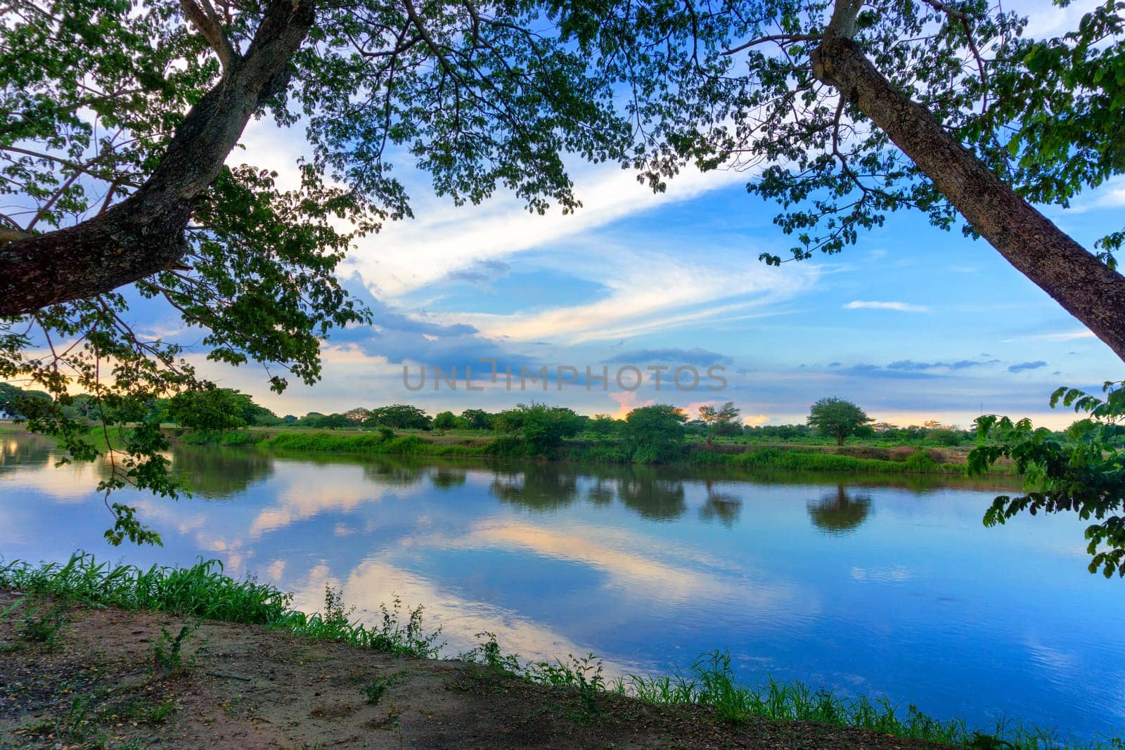 Beautiful view of the Magdalena River framed by trees in Mompox, Colombia