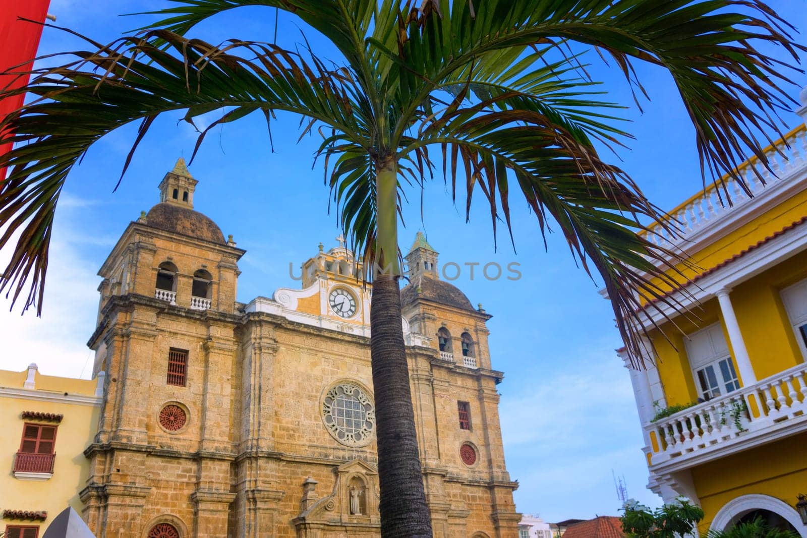 San Claver Church with a palm tree in the foreground in Cartagena, Colombia