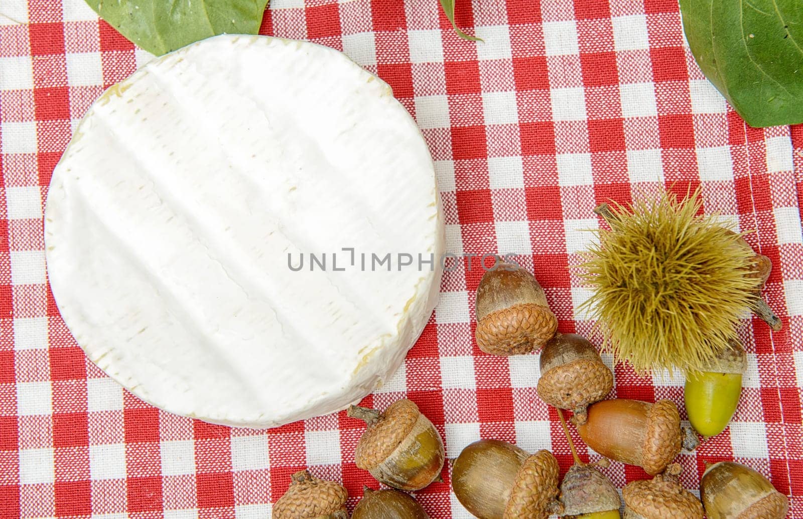 a Camembert cheese of Normandy