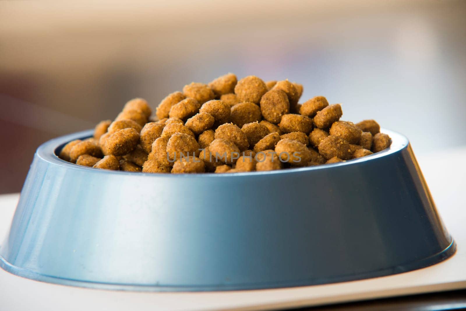 dry dog \u200b\u200bor cat treats in a bowl