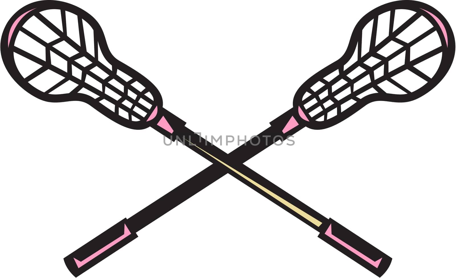 Illustration of a crossed lacrosse stick set on isolated white background done in retro woodcut style. ..