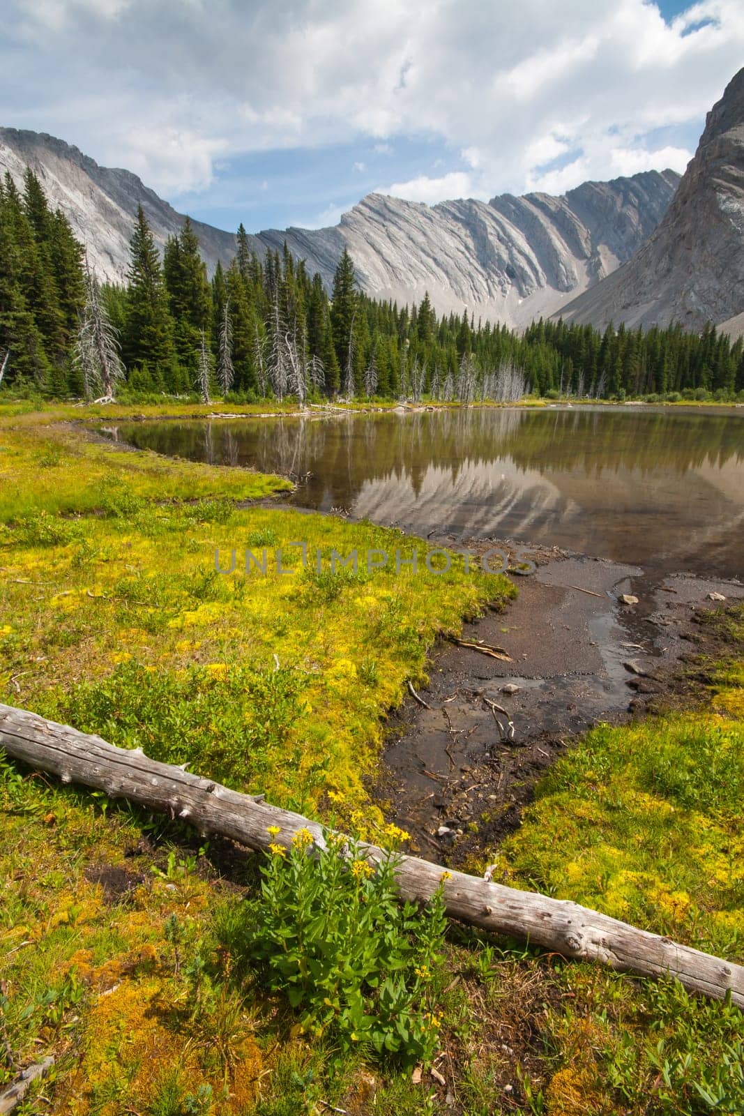 Landscape of one of the four Picklejar Lakes in surrounded by the Rocky Mountains in Kananaskis Alberta.