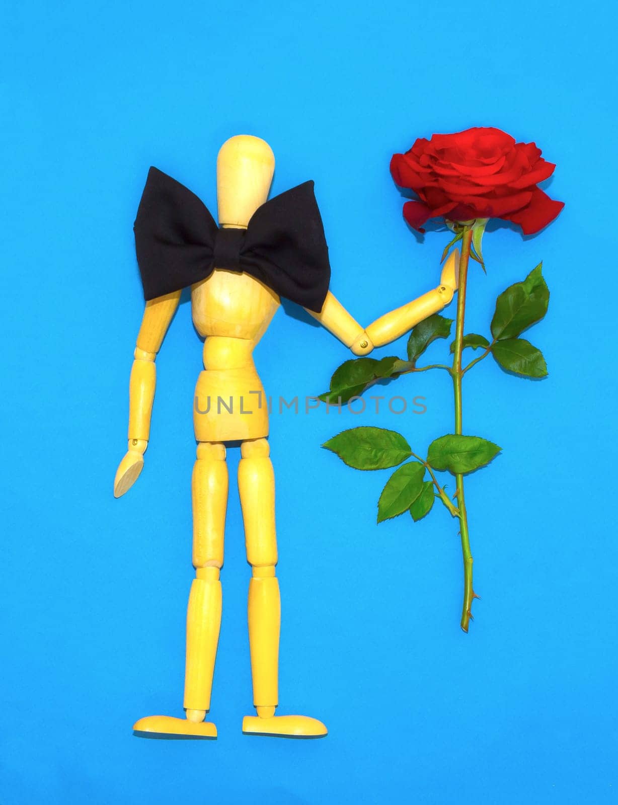 Red rose and figure wooden man on blue background