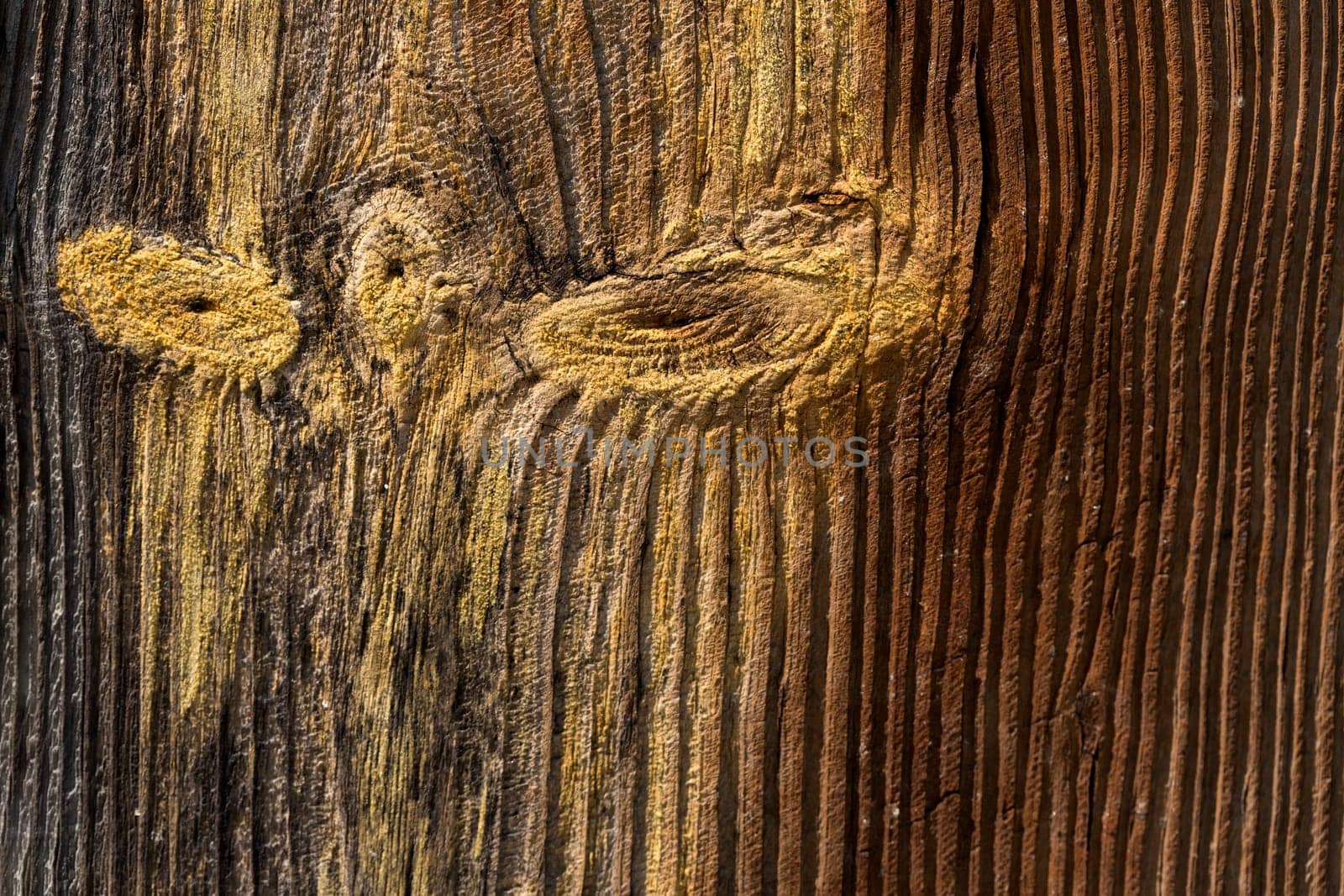 Wood texture background