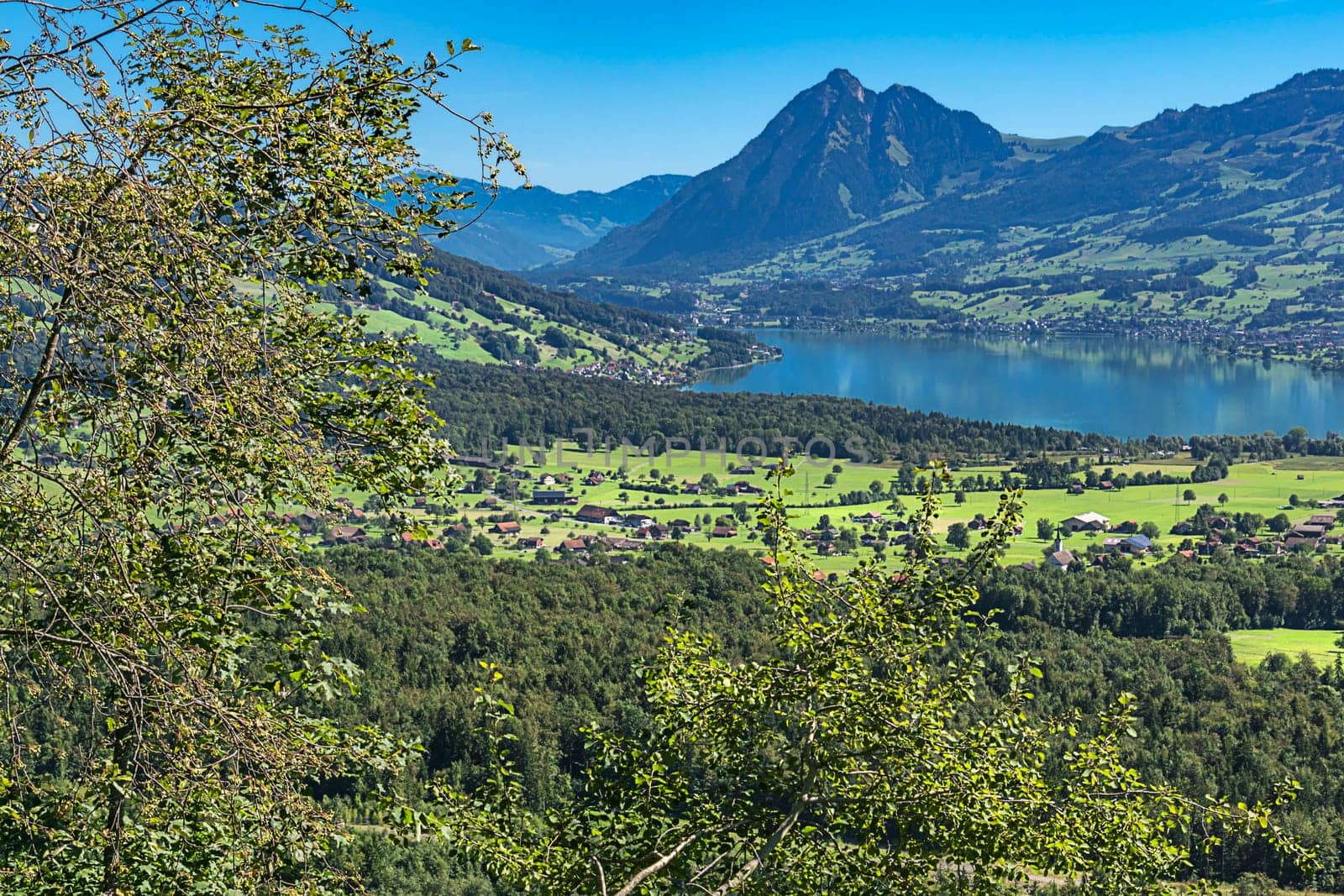 Stanserhorn with Alpnachersee in the foreground a beech hedge