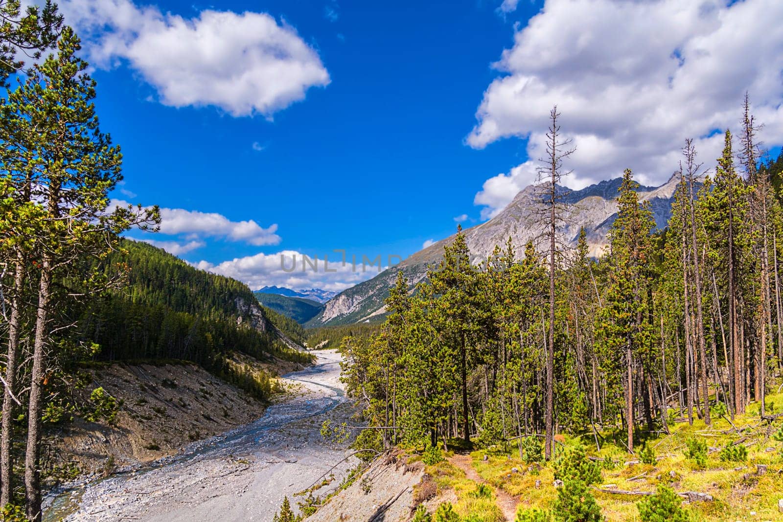 Swiss National Park wild valley at the Ofenpass