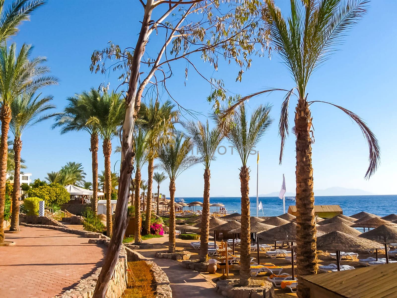The beach at the luxury hotel, Sharm el Sheikh, Egypt. umbrella against the blue sky