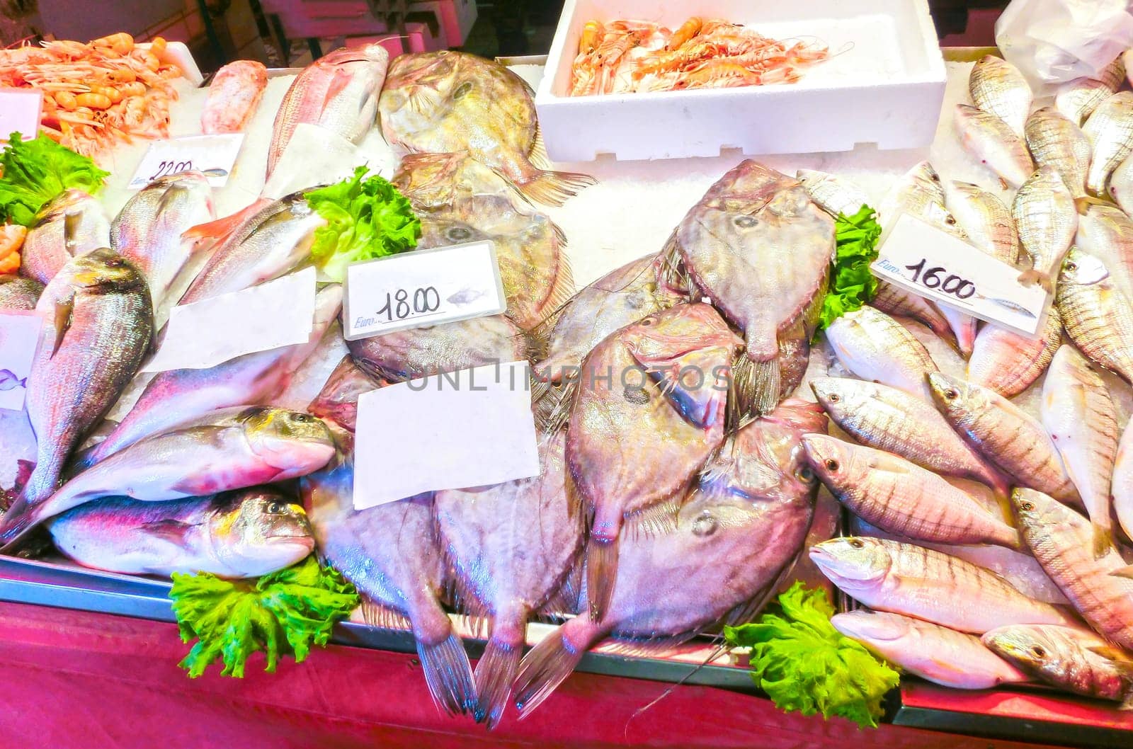 Venetian fish market - dorados and prawns. The Rialto fish market is located alongside the Grand Canal near the Rialto Bridge - Venice, Italy