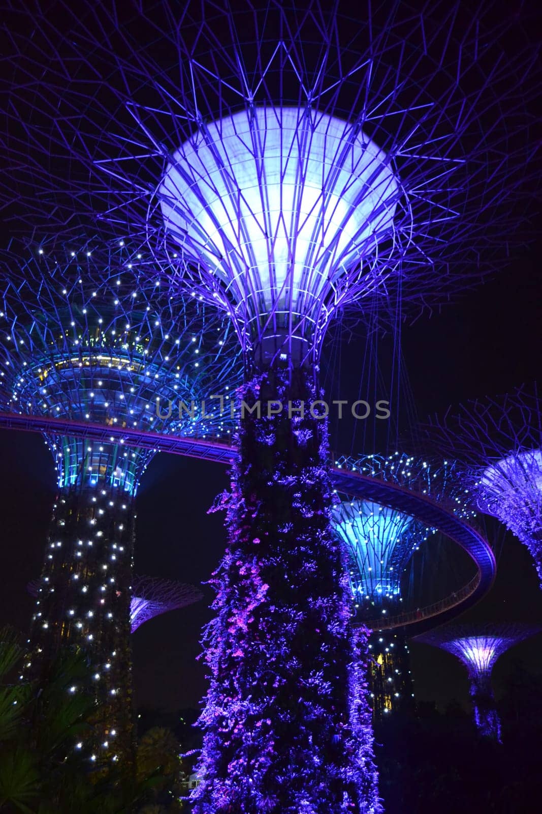 Giant Trees at the Gardens by the Bay in Singapore