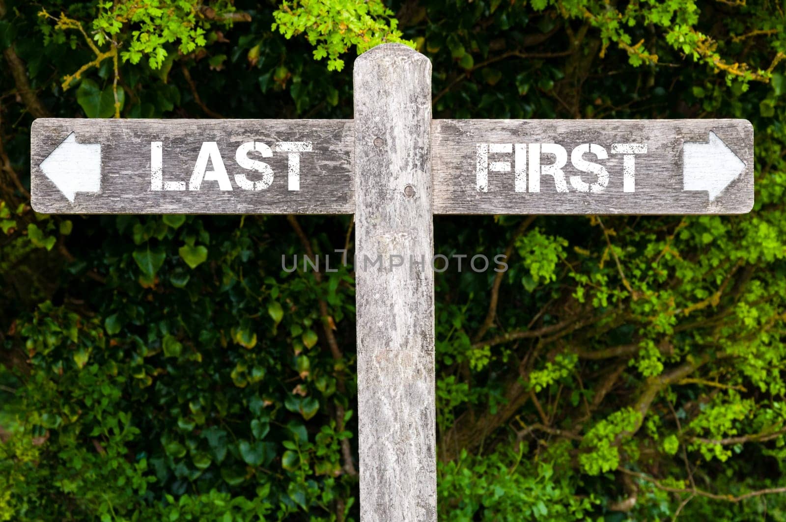 Wooden signpost with two opposite arrows over green leaves background. LAST versus FIRST directional signs, Choice concept image