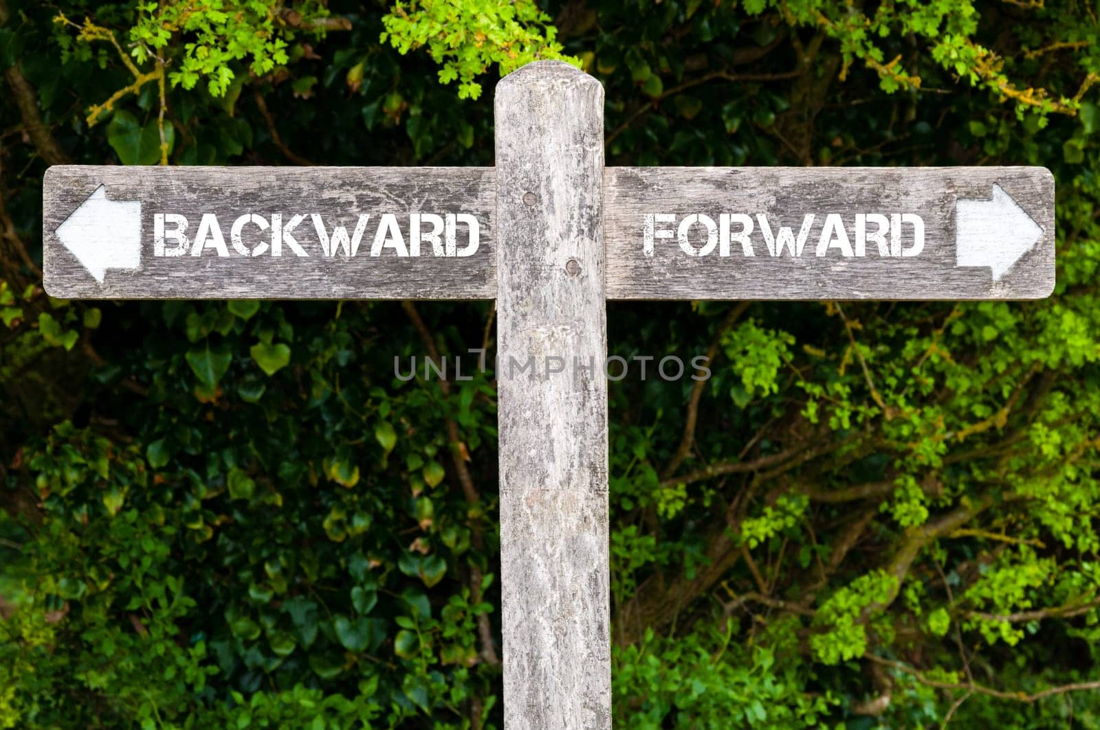 Wooden signpost with two opposite arrows over green leaves background. BACKWARD versus FORWARD directional signs, Choice concept image