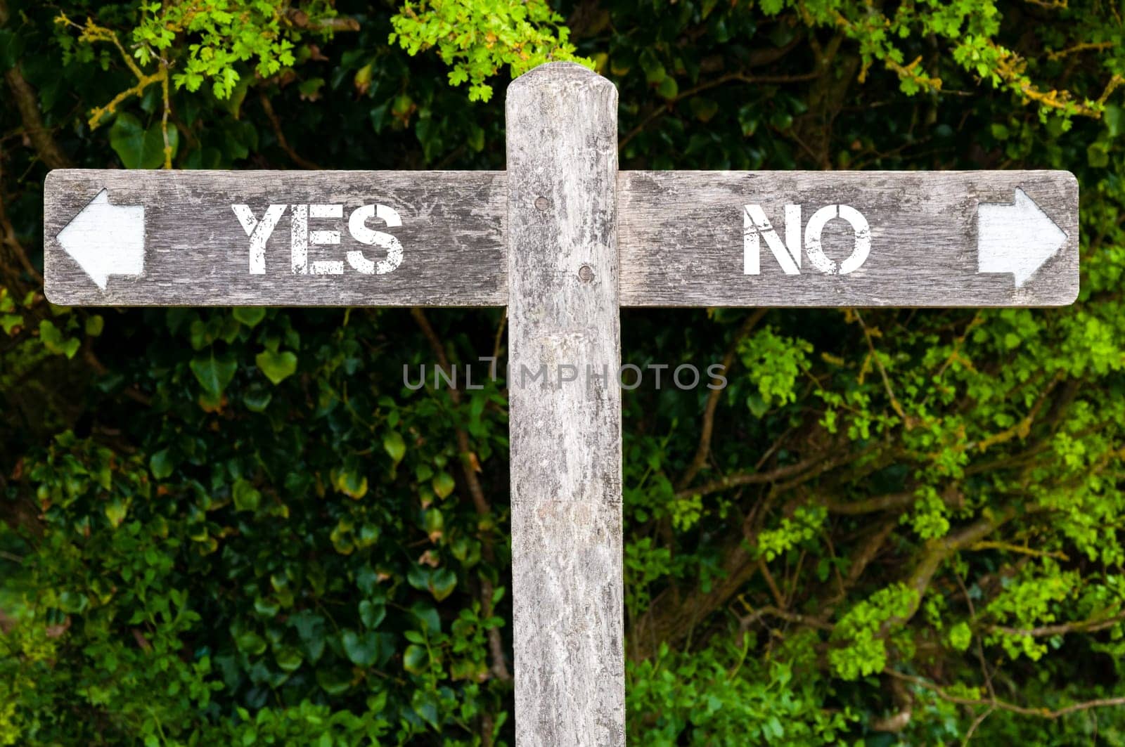 Wooden signpost with two opposite arrows over green leaves background. YES versus NO directional signs, Choice concept image