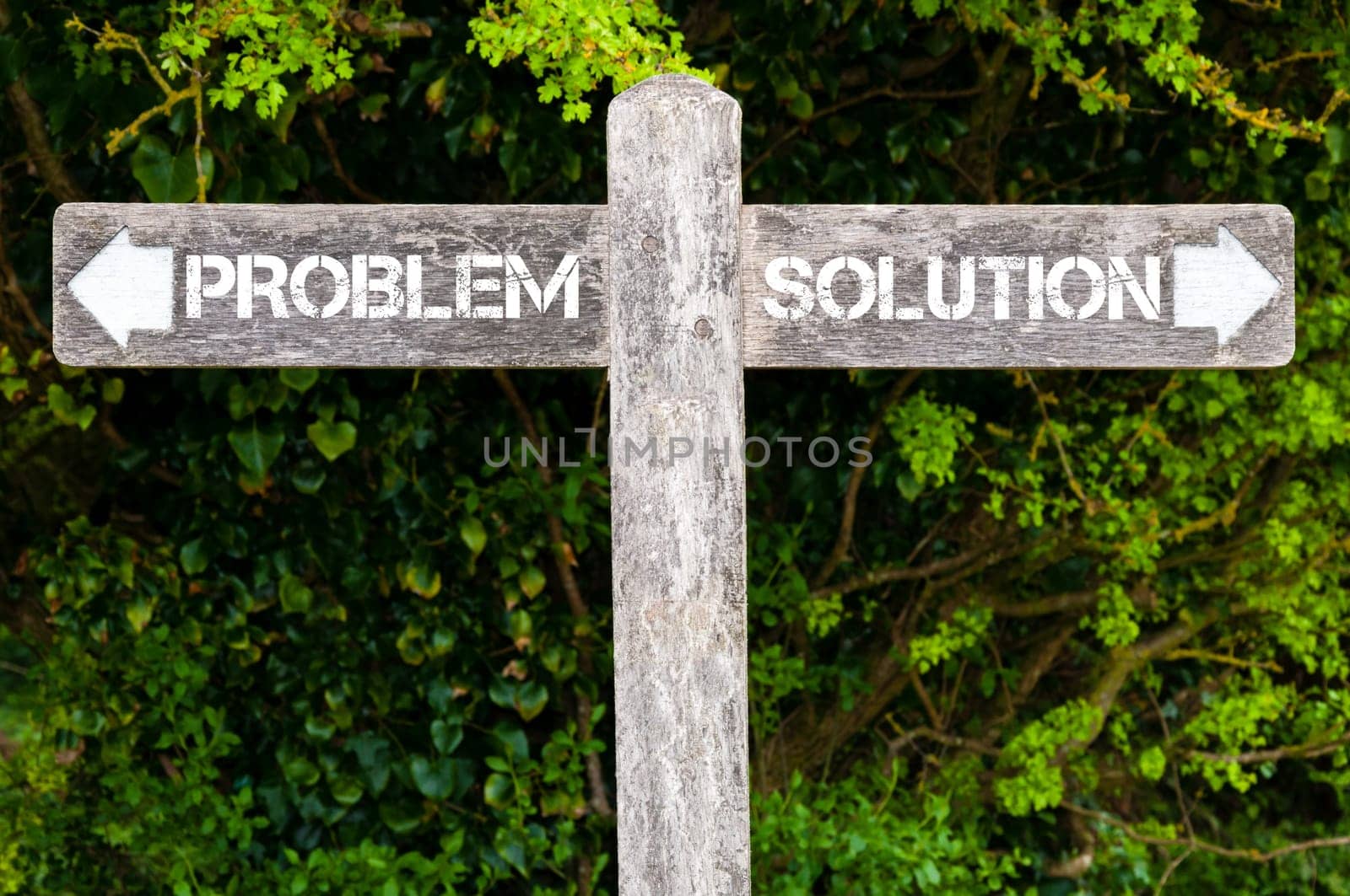 Wooden signpost with two opposite arrows over green leaves background. Problem versus Solution directional signs, Choice concept image