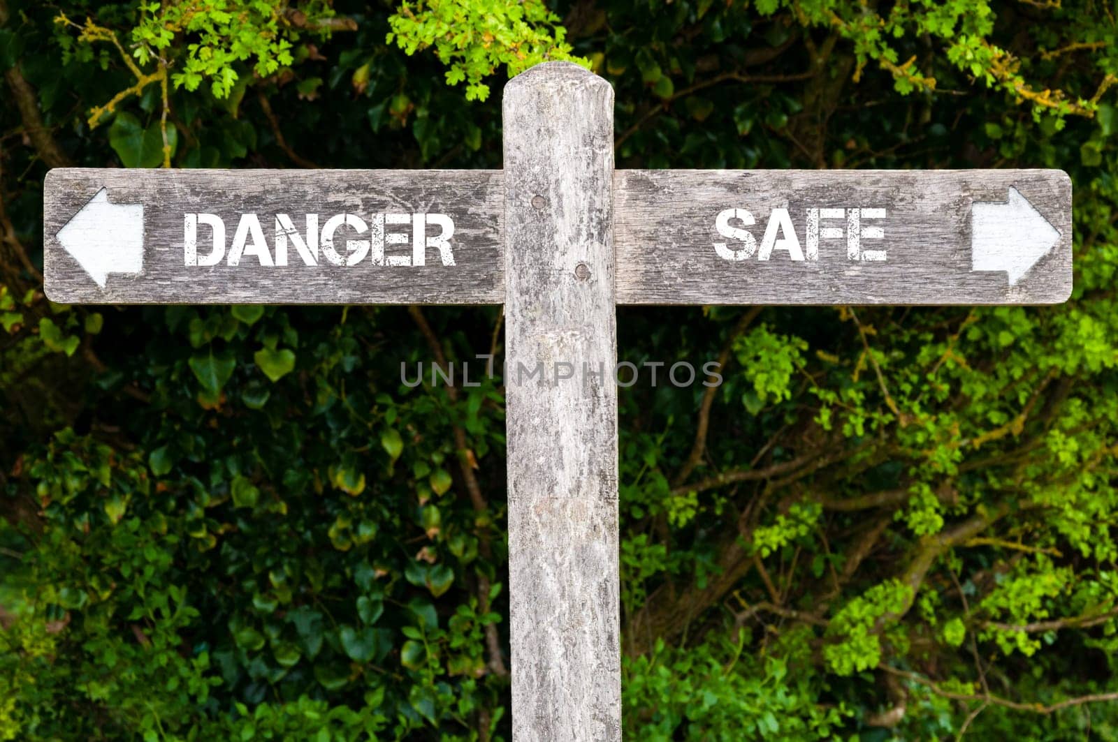 Wooden signpost with two opposite arrows over green leaves background. DANGER versus SAFE directional signs, Choice concept image