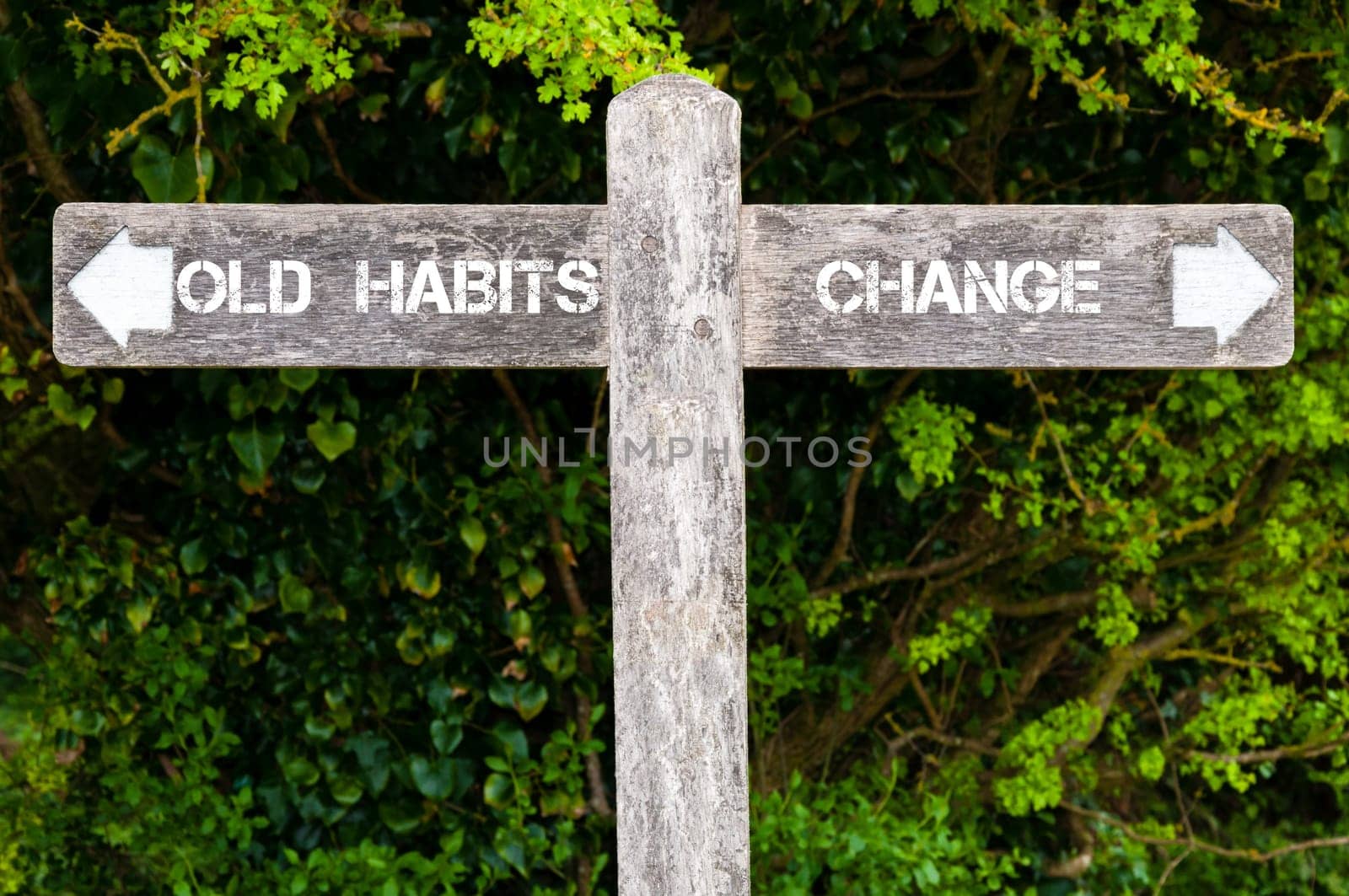 Wooden signpost with two opposite arrows over green leaves background. Old Habits versus Change directional signs, Choice concept image