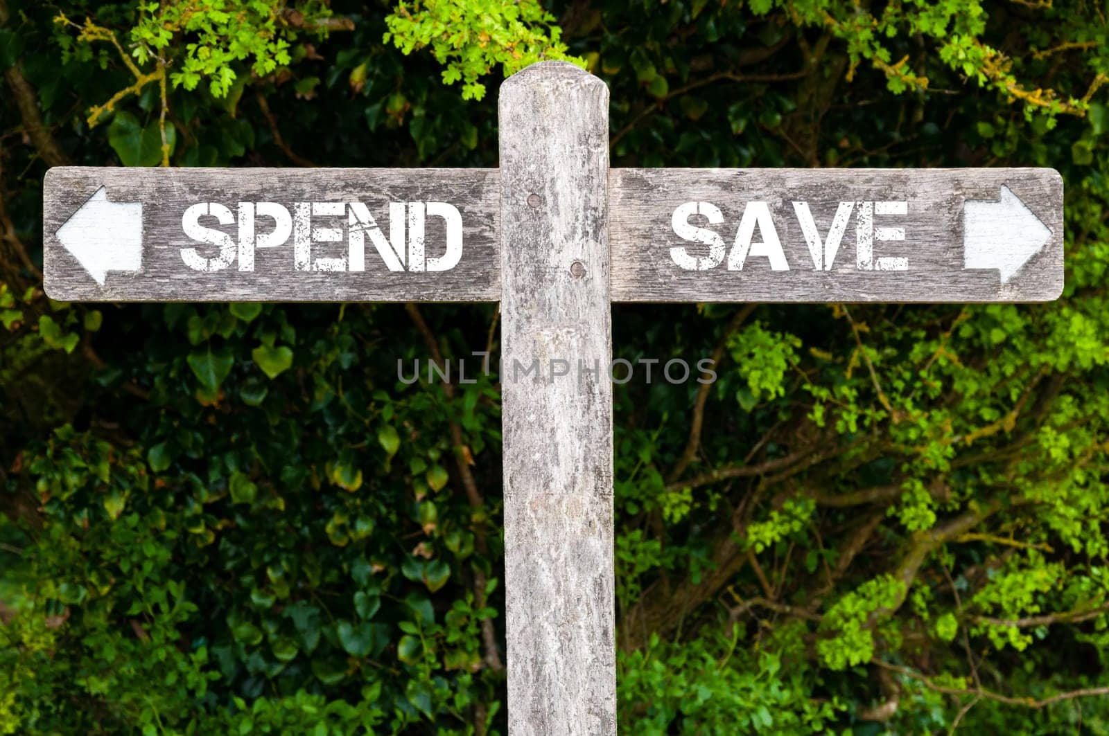 Wooden signpost with two opposite arrows over green leaves background. SPEND versus SAVE directional signs, Choice concept image