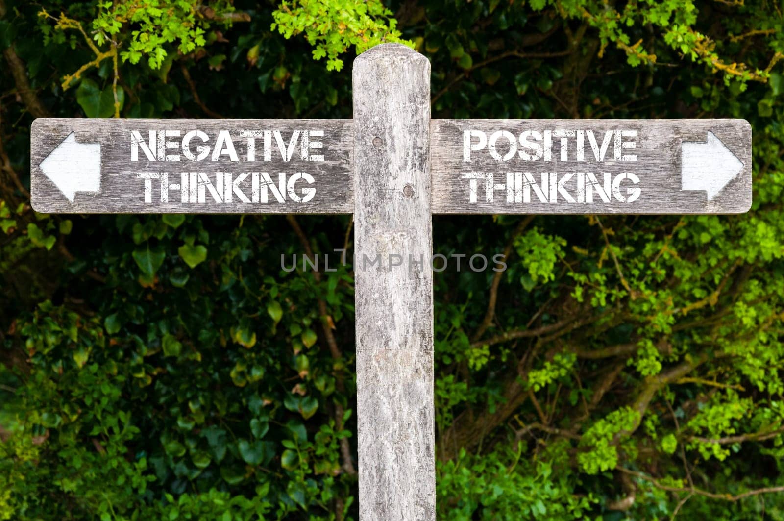Wooden signpost with two opposite arrows over green leaves background. Negative Thinking versus Positive Thinking directional signs, Choice concept image