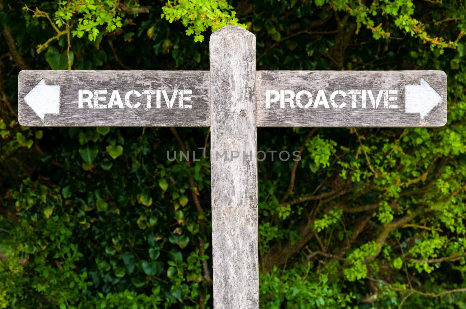 Wooden signpost with two opposite arrows over green leaves background. Reactive versus Proactive directional signs, Choice concept image
