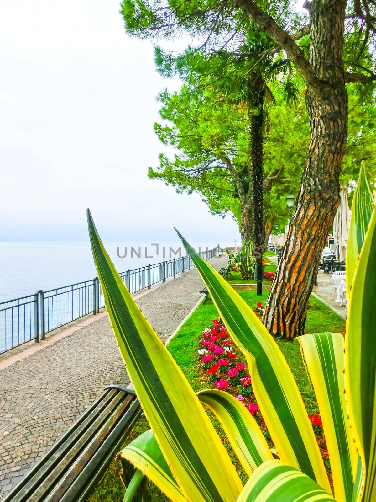 The walkway on the shore, Lake Garda, Italy, Europe