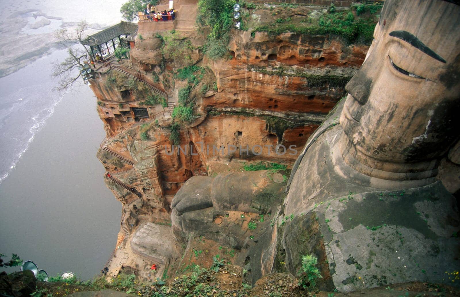 the big Buddha near the city of Leshan in the provinz Sichuan in China in eastasia.