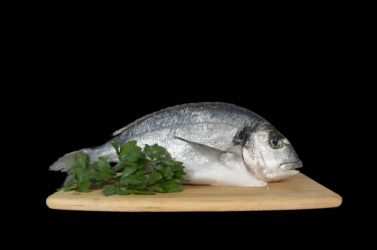 Large fish sea bream orata gutted on the preparation table
