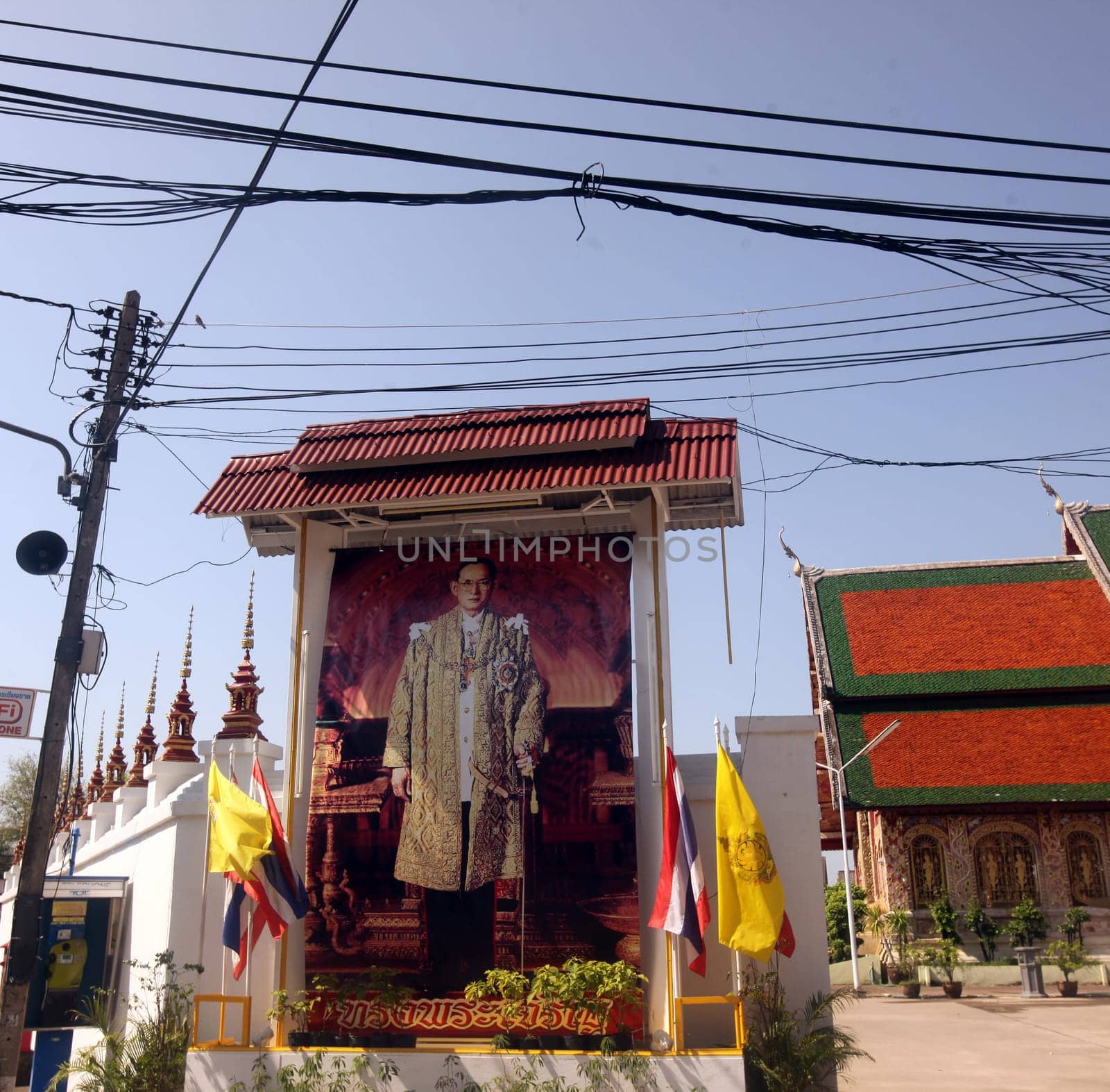 a pictures of the King Bhumibol in the city of chiang rai in Thailand in Southeastasia.