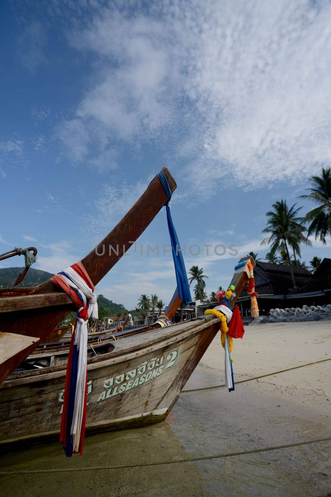 a Boat on the way to Maya Beach  near the Ko Phi Phi Island outside of the City of Krabi on the Andaman Sea in the south of Thailand.
