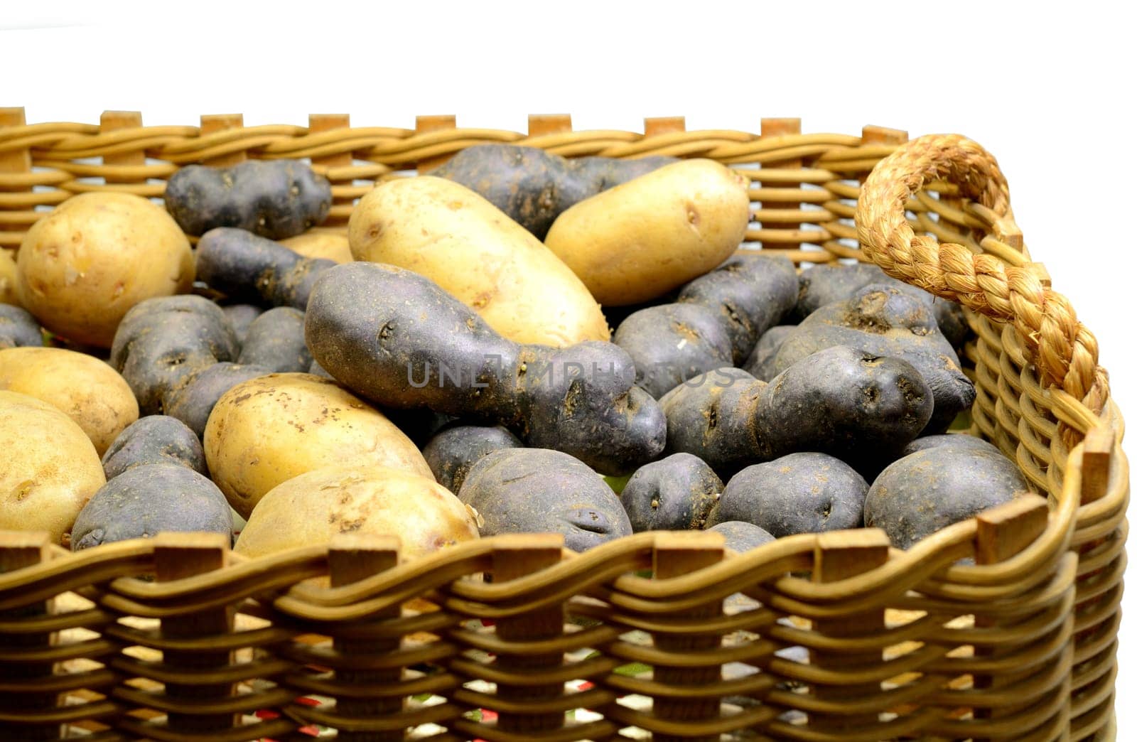 Different potato varieties in a basket