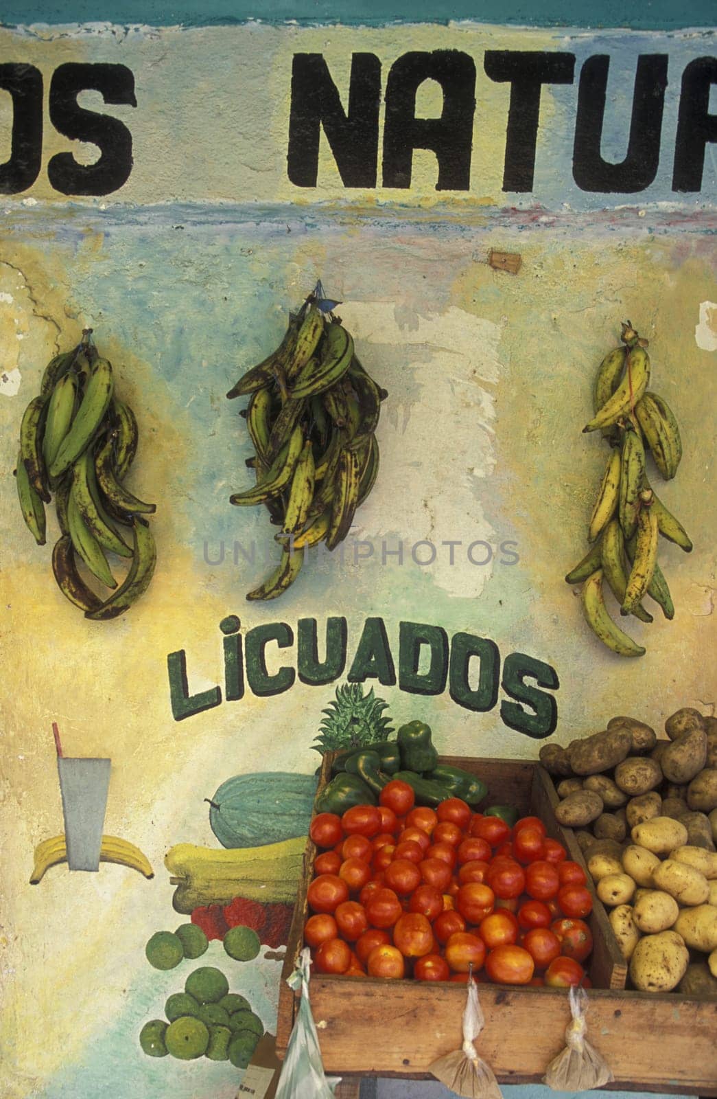 a Market in the city of Tela near San Pedro Sula on the caribian sea in Honduras in Central America