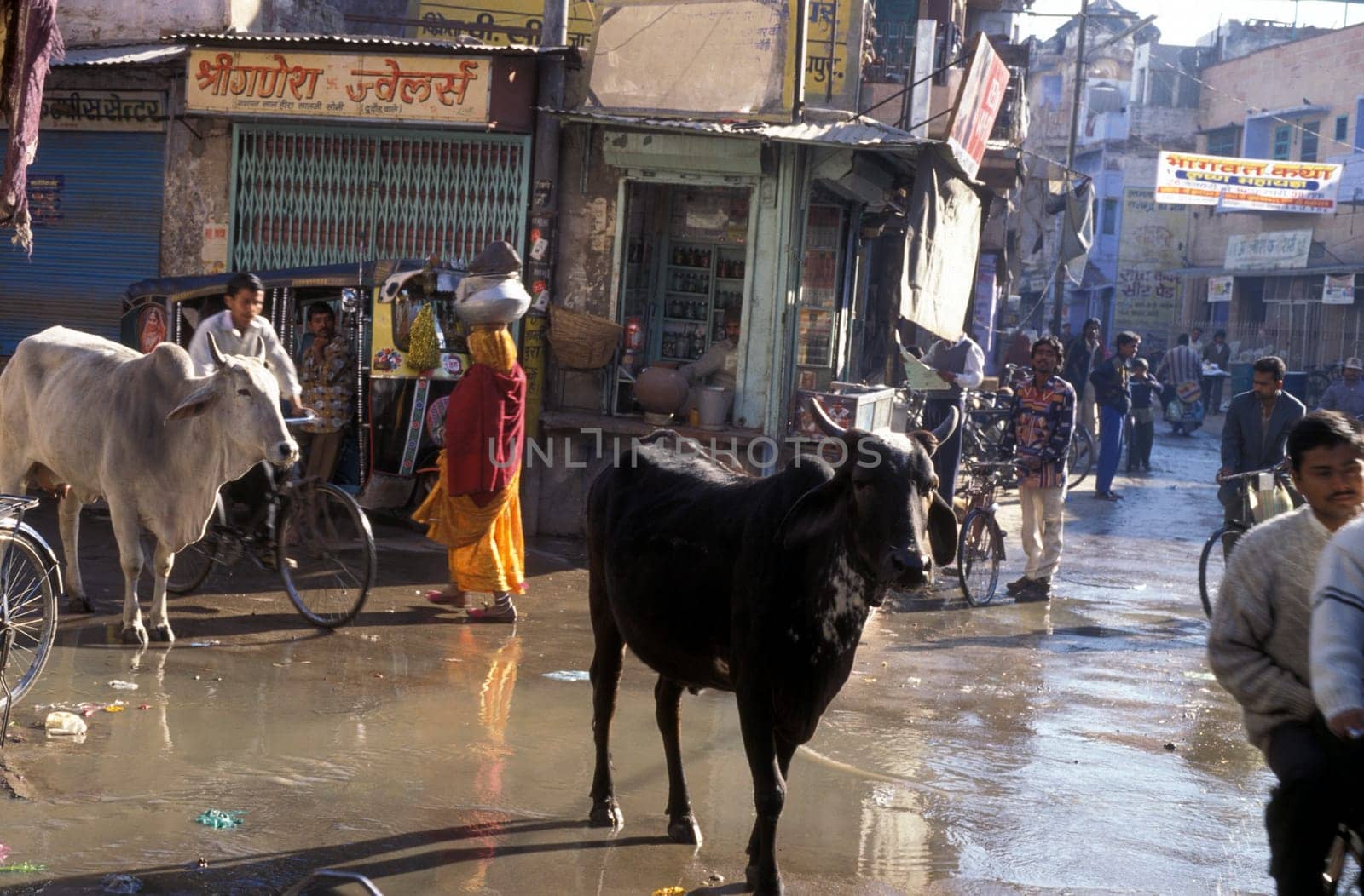 the city centre of  Jodhpur in the province of Rajasthan in India.