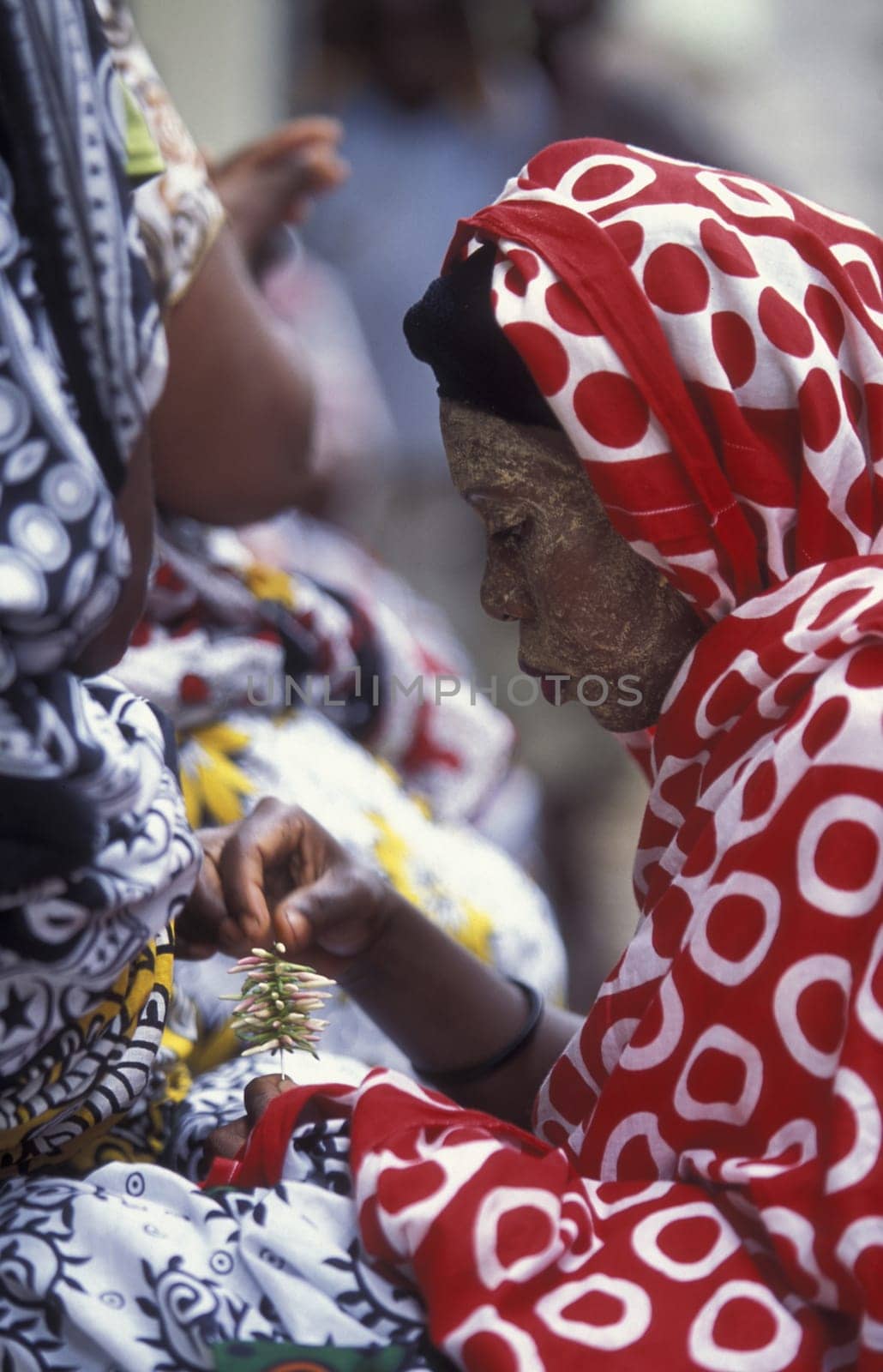 a wedding ceremony in the city of Moutsamudu on the Island of Anjouan on the Comoros Ilands in the Indian Ocean in Africa.