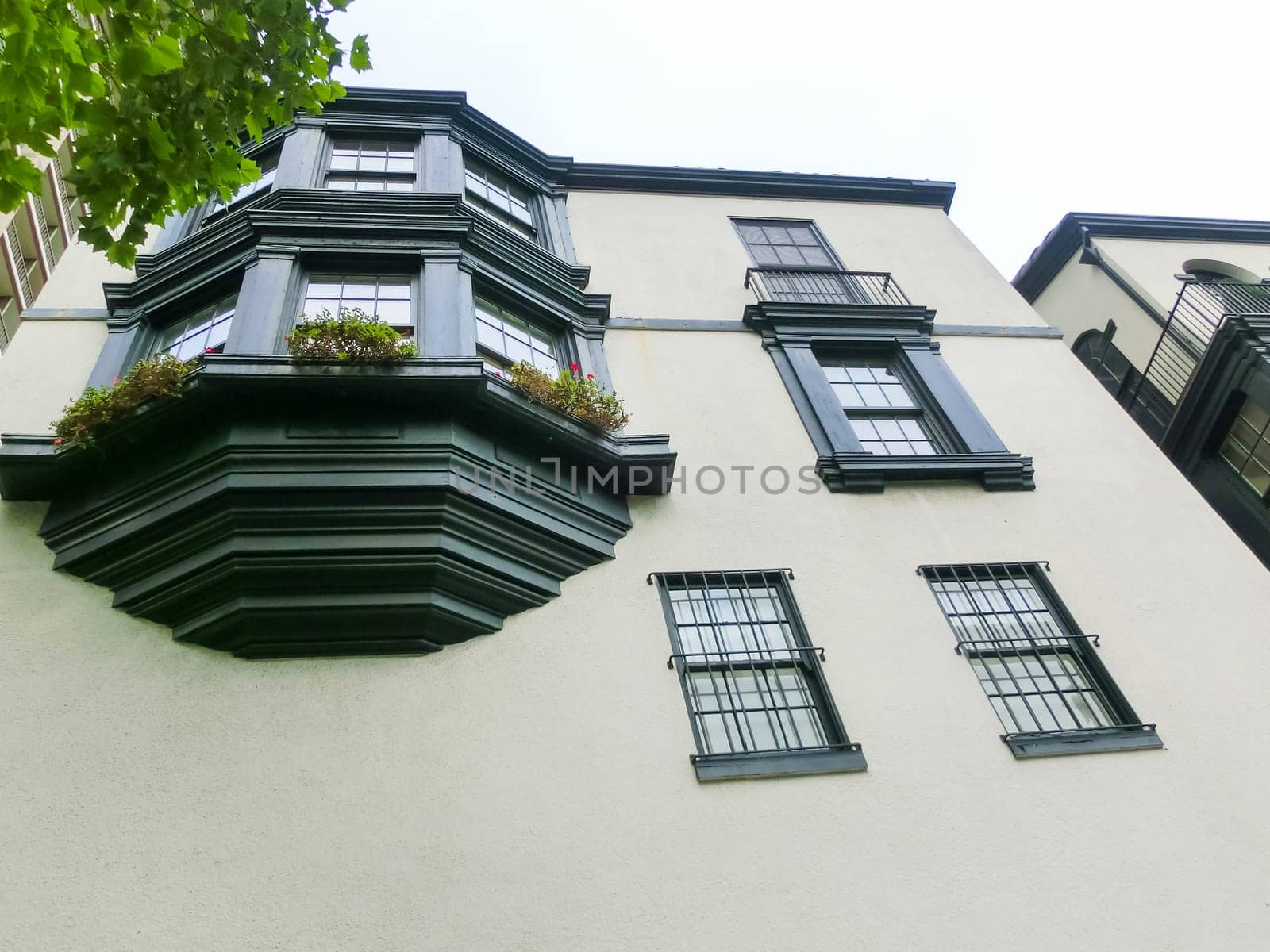 The traditional windows of building in San Francisco, USA