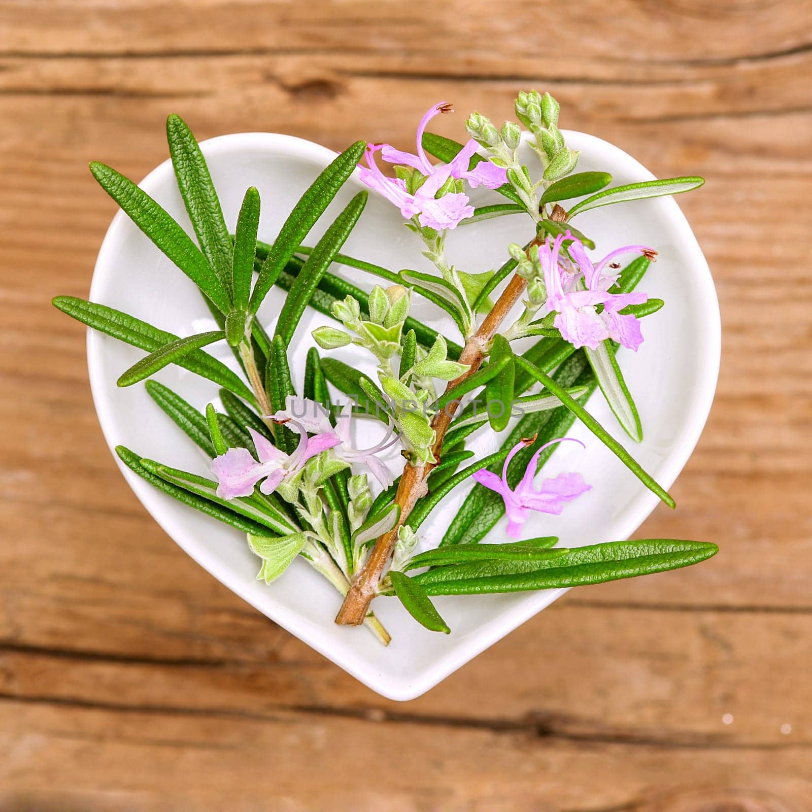 Rosemary,homeopathy and cooking with medicinal herbs